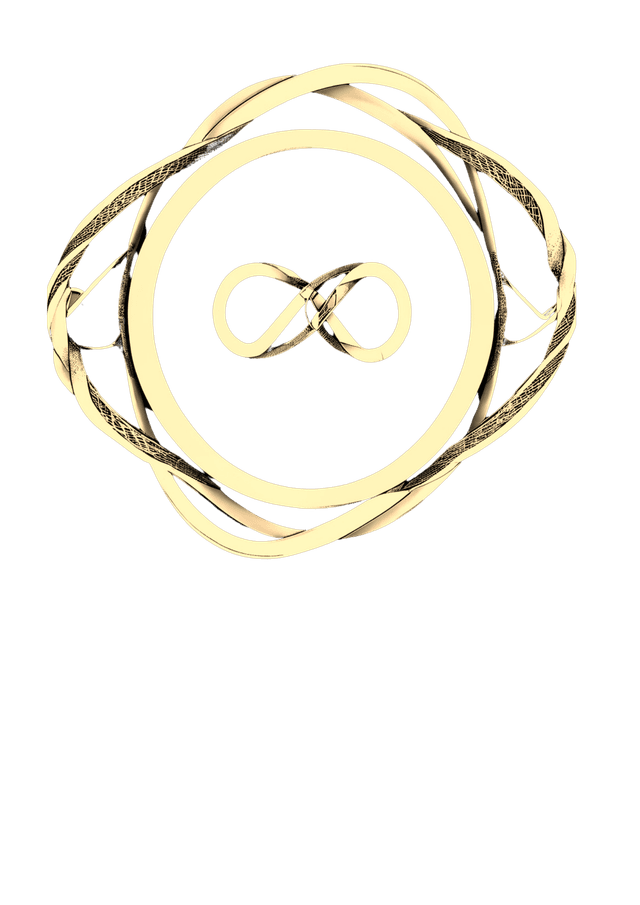 Infinity Loop – Back to Meaning Maximization