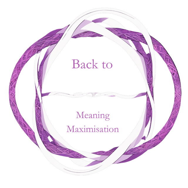 Back to Meaning Maximization Logo